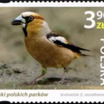 Ptaki polskich parków