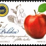 Polskie produkty regionalne - jabłko