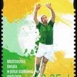 Mistrzostwa świata w piłce siatkowej mężczyzn Polska 2014