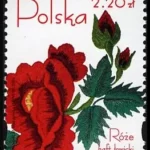 Róże w hafcie polskim