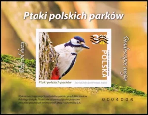 Ptaki polskich parków